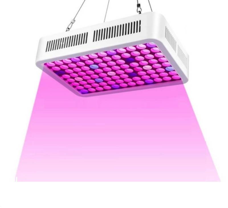 DOPWii Pflanzenlampe Vollspektrum 100 LEDs Grow Lampe Pflanzenleuchte Pflanzenlicht, LED fest integriert von DOPWii