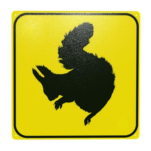 Squirrel Crossing With Graphic Warnschild, 30cm x 30cm Sicherheitsschilder aus Metall, Schilder für Innen- und Außenwanddekoration Sicherheitszeichen von DORAM