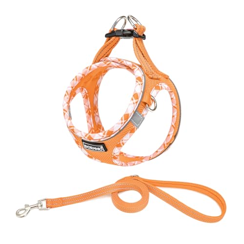 DORAMIO Hundegeschirr Kleine Hunde mit Leine, Step-in Geschirr Reflektierend Atmungsaktiv Brustgeschirr Anti Zug Sicherheitsgeschirr Katzengeschirr für Kleine Hunde, Katzen (Orange, L) von DORAMIO