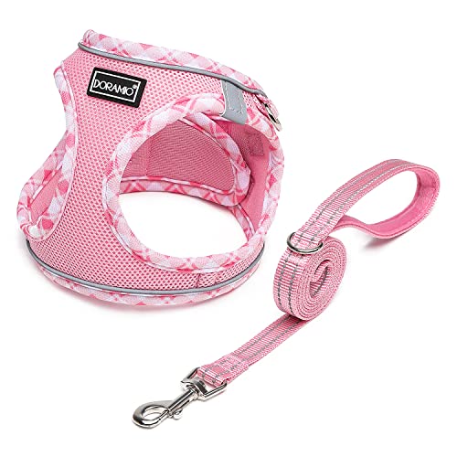 DORAMIO Hundegeschirr Kleine Hunde mit Leine, Step-in Geschirr Reflektierend Atmungsaktiv Brustgeschirr Anti Zug Sicherheitsgeschirr Katzengeschirr für Kleine Hunde, Katzen (Rosa, M) von DORAMIO