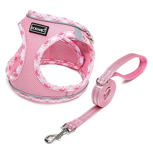 DORAMIO Hundegeschirr Kleine Hunde mit Leine, Step-in Geschirr Reflektierend Atmungsaktiv Brustgeschirr Anti Zug Sicherheitsgeschirr Katzengeschirr für Kleine Hunde, Katzen (Rosa, XS) von DORAMIO