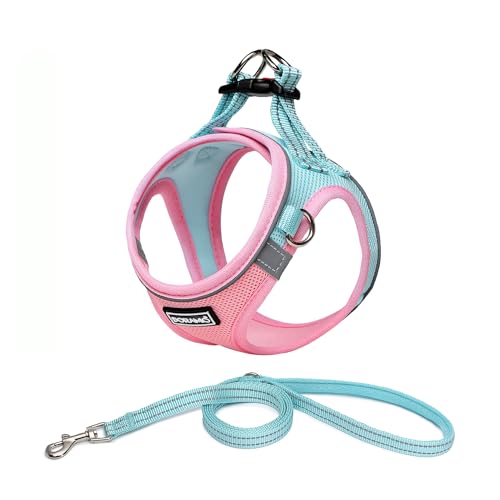 DORAMIO Hundegeschirr Kleine Hunde mit Leine, Step-in Geschirr Reflektierend Atmungsaktiv Brustgeschirr Anti Zug Sicherheitsgeschirr Katzengeschirr für Kleine Hunde, Katzen (XL, Rosa Blau) von DORAMIO