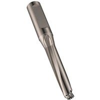 Bohrwechselkopfträger H855 Gesamt-L. 176,5mm von DORMER