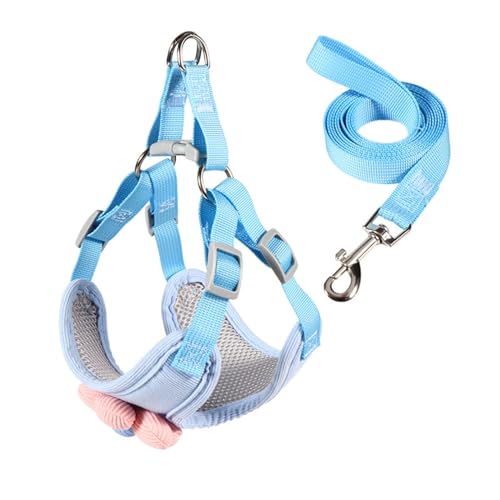 Hundeleine mit schöner Blumenweste, Seil, langes Haustier-Training, Spazierengehen, Schwimmen, Wandern, Haustiergeschirr für kleine Hunde von DOSERTY