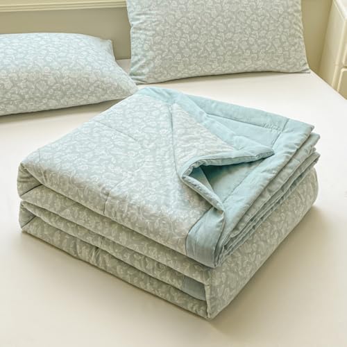 DOTBUY-SHOP Bettüberwurf Doppelseitig Steppdecke Tagesdecke Tagesdecken mit Präge 100% Baumwolle Wohndecke aus Gesteppt Bettdecke für Einzelbett Doppelbett (Hellblau,180x220cm) von DOTBUY-SHOP