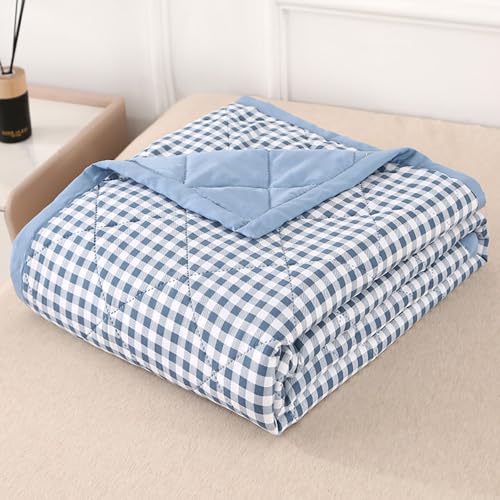 DOTBUY-SHOP Bettüberwurf Steppdecke, Karo Tagesdecke Zweiseitig Leichte Tagesdecken mit Präge Wohndecke aus Gesteppt Bettdecke Bettbezug für Einzelbett Doppelbett (Hellblau,180x200cm) von DOTBUY-SHOP