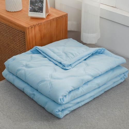 DOTBUY-SHOP Bettüberwurf Steppdecke Drucken Tagesdecke Leichte Tagesdecken mit Präge Wohndecke aus Gesteppt Bettdecke Bettbezug für Einzelbett Doppelbett (Himmelblau,200x230cm) von DOTBUY-SHOP