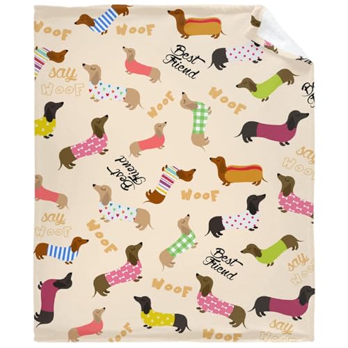 DOTBUY-SHOP Flanell Decke, Kuscheldecke Flauschig Mit Dackel-Druck, Fleecedecke-Sofadecke, Winterliche Wärme Decke, Waschbar (100x150cm, Karikatur) von DOTBUY-SHOP