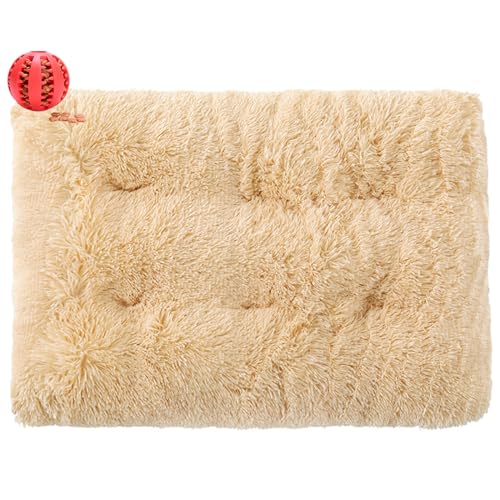 DOTBUY-SHOP Hundebet Rectangular Katzenbett, Hundekissen Grosse Hunde Rectangle Kissen, Plüsch-Hundekorb Hundebett Waschbar, für Groß Hunde, Katzen und Herbst und Winter (55X40cm,Beige) von DOTBUY-SHOP