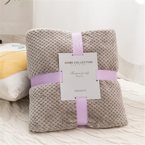 DOTBUY-SHOP Mode Verdicken Flanell Decken, Flauschig Kuscheldecke,Weich und Bequem Fleecedecke- Sofadecke, Winterliche Wärme Decke, Kuscheldecke für Sofas Betten Reisen (100x150cm,Hellgrau) von DOTBUY-SHOP