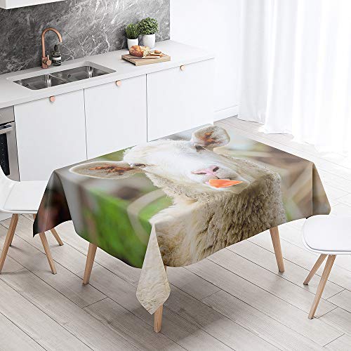 Tischdecke Abwaschbar, DOTBUY Wasserabweisende Tischdecke Rechteckig Abwischbare Wachstuch für Desktop Dekorative Tuch Hotel Bankett Party Garten (Schaf,140x140cm) von DOTBUY-shop