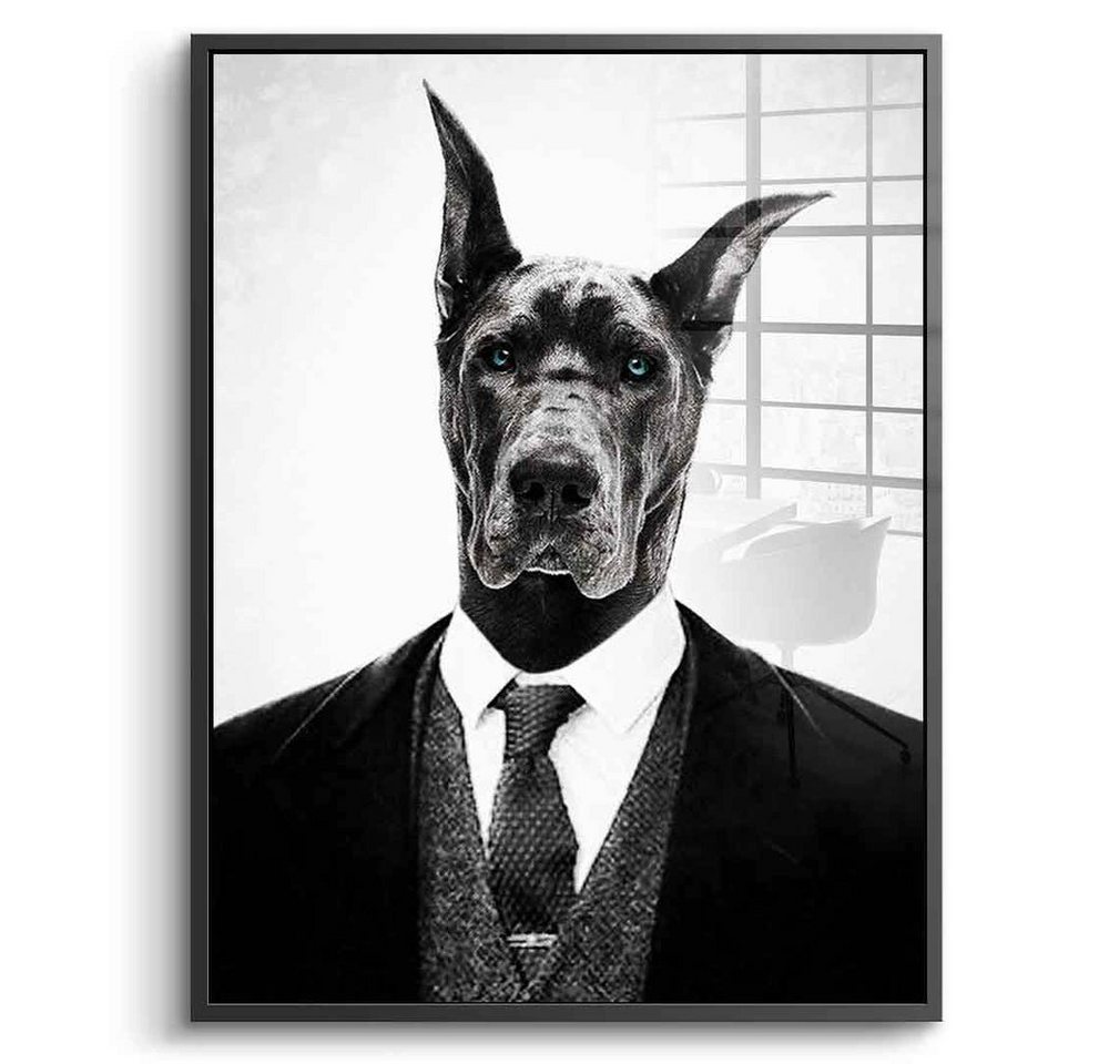 DOTCOMCANVAS® Acrylglasbild Black Dog - Acrylglas, Acrylglasbild Black Dog Porträt Dobermann schwarz grau Druck Wandbild von DOTCOMCANVAS®