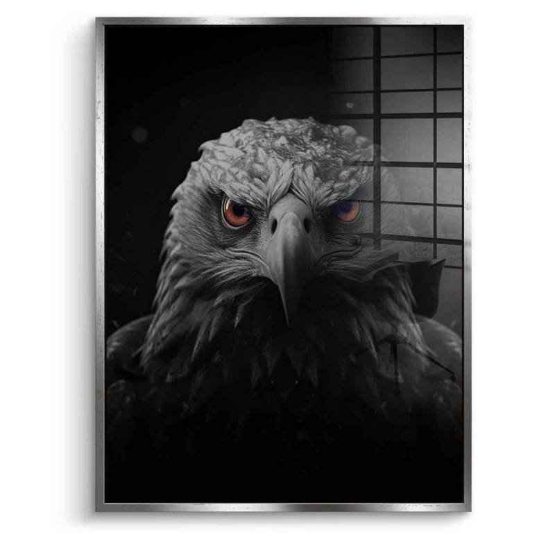 DOTCOMCANVAS® Acrylglasbild Eagle - Acrylglas, Acrylglasbild Eagle Natur Tiere schwarz Kunstdruck Wandbild von DOTCOMCANVAS®