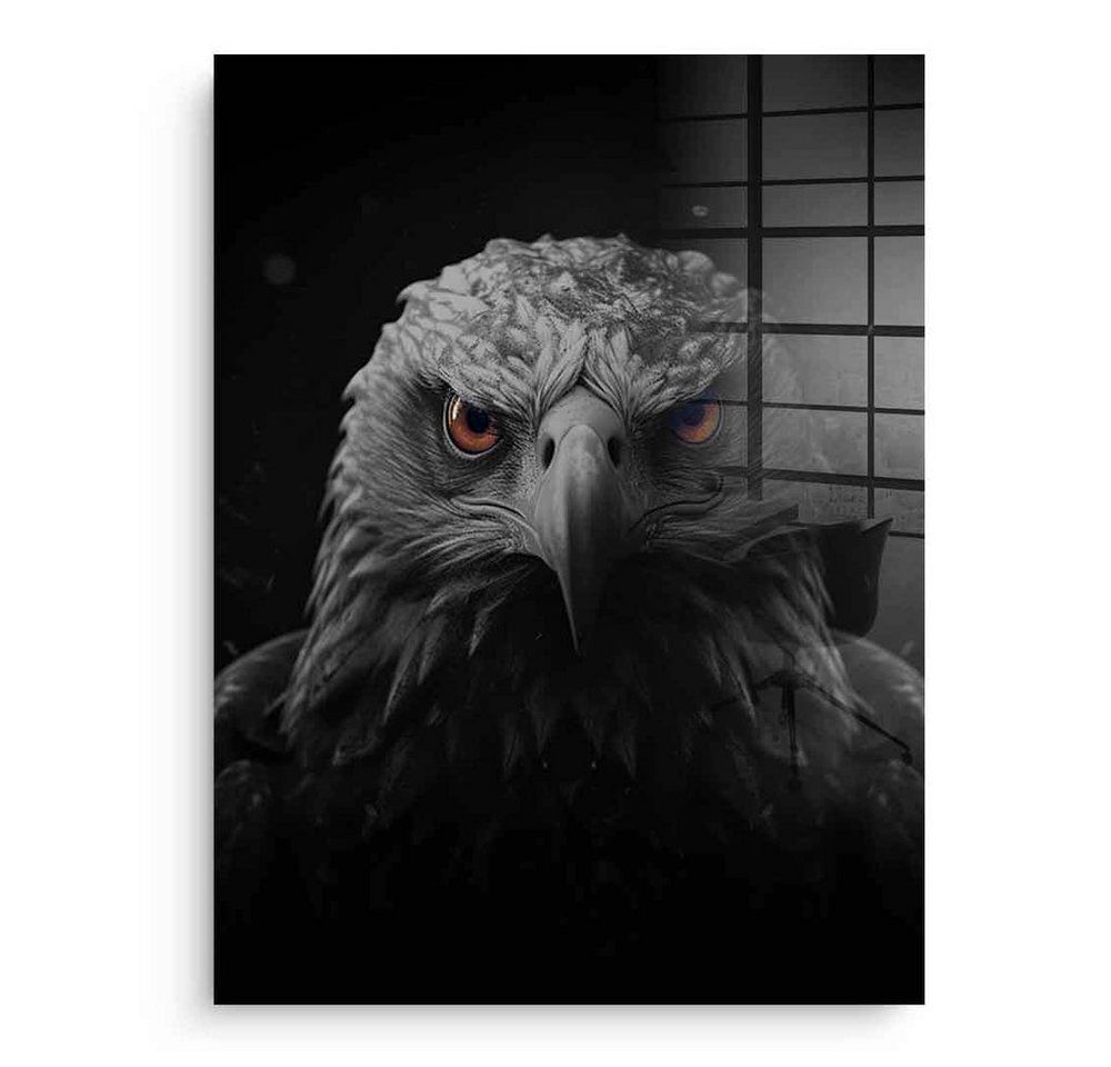 DOTCOMCANVAS® Acrylglasbild Eagle - Acrylglas, Acrylglasbild Eagle Natur Tiere schwarz Kunstdruck Wandbild von DOTCOMCANVAS®