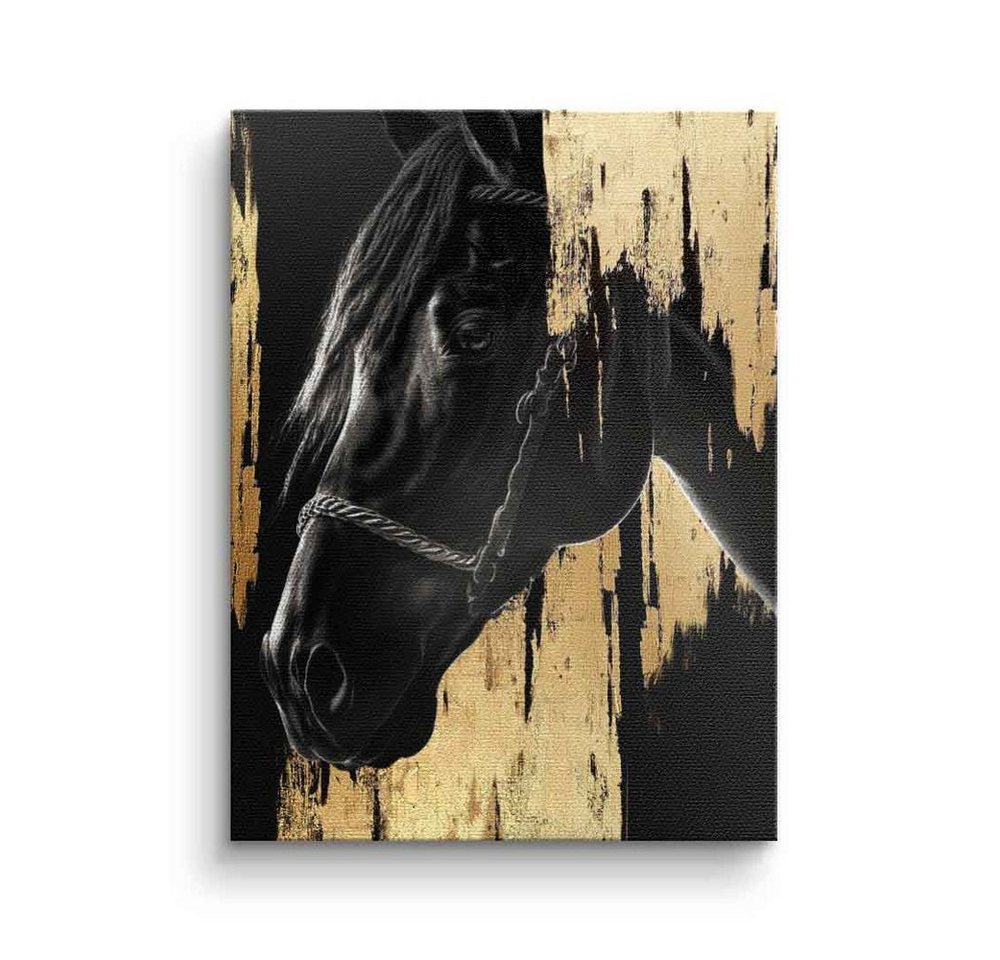 DOTCOMCANVAS® Leinwandbild, Leinwandbild Luxury Horse gold schwarz Pferd luxus Tier mit premium Ra von DOTCOMCANVAS®