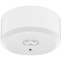 DOTLUX 3679-1 LED-Notleuchte DOTLUX 3679-1 LED-Notleuchte von DOTLUX