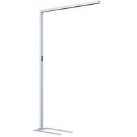 DOTLUX 5248-040080 LED-Stehlampe von DOTLUX