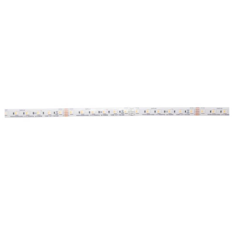DOTLUX LED-Streifen DOTLUX LED-Streifen 96W 14mm RGBW IP66 5m-Rolle inkl. 50cm von DOTLUX