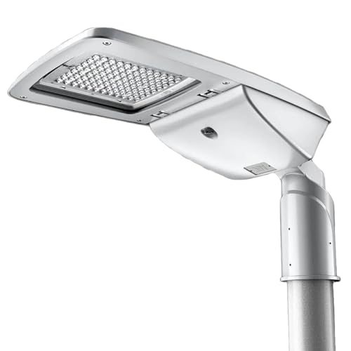 LED-Strassenleuchte DOLPHINmicro DOTLUX 5157-040155 von DOTLUX