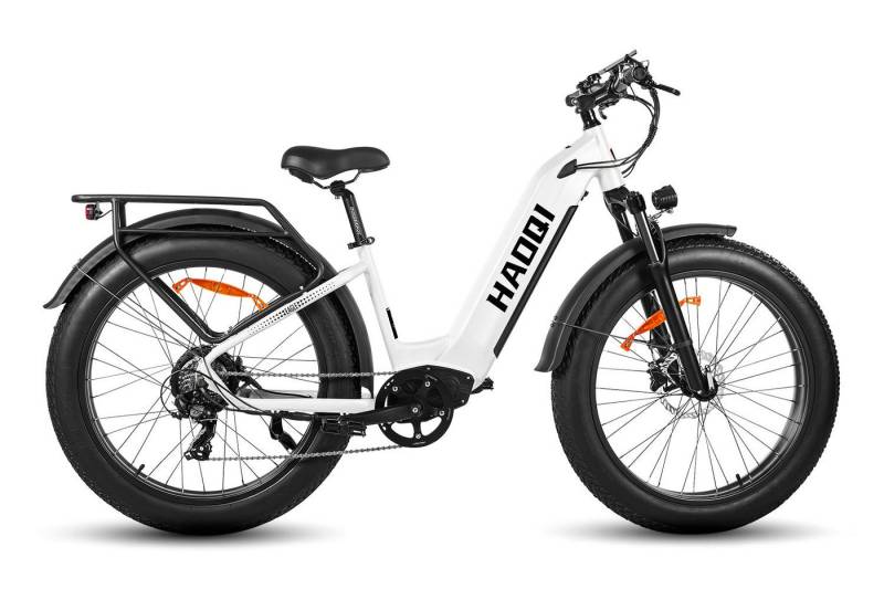 DOTMALL E-Bike Cityrad HAOQl Eagle step Thru All-Terrain 2.0 Elektrofahrrad 48V 20AH AKKU von DOTMALL