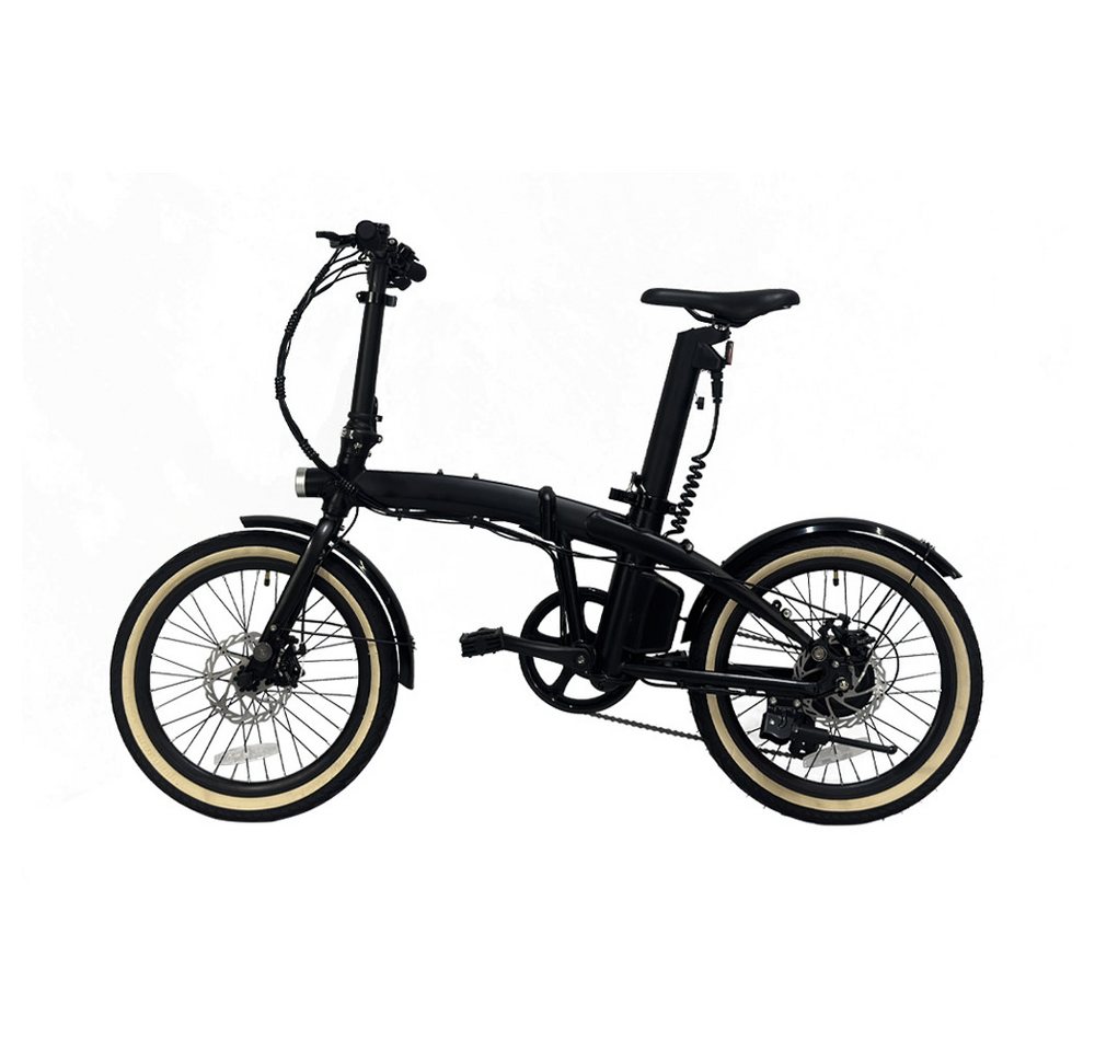DOTMALL E-Bike Faltrad HQ20, faltbar, 250 W, 36 V 10,4 Ah, Euro-Spurweite, Scheibenbremse von DOTMALL
