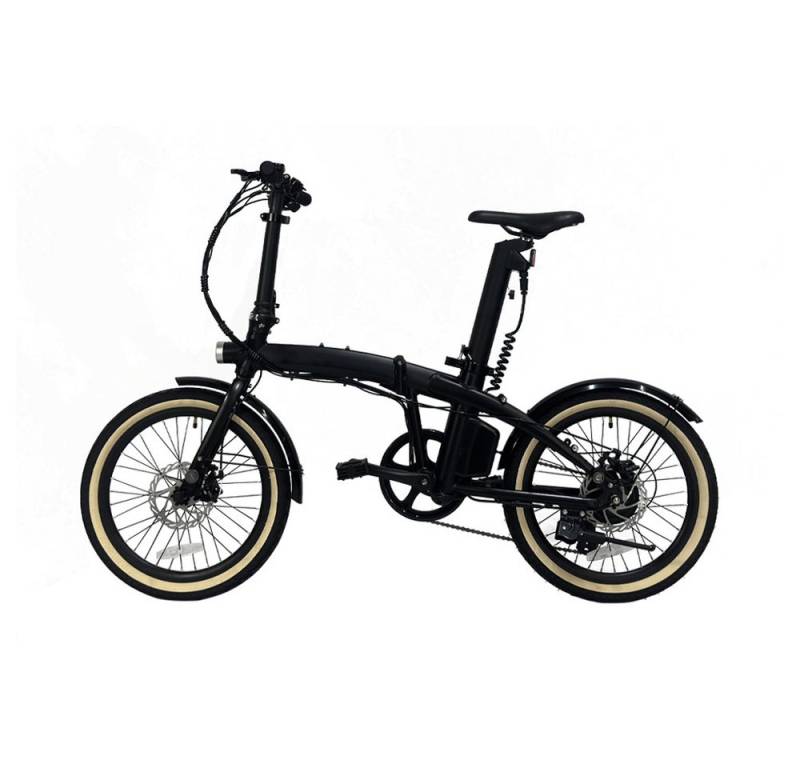 DOTMALL E-Bike Faltrad HQ20, faltbar, 250 W, 36 V 10,4 Ah, Euro-Spurweite, Scheibenbremse von DOTMALL