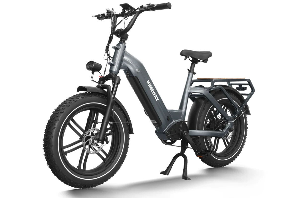 DOTMALL E-Bike Himiway Big Dog 20 zoll Ebike mit 250W Motor und 48V 20AH Akku von DOTMALL