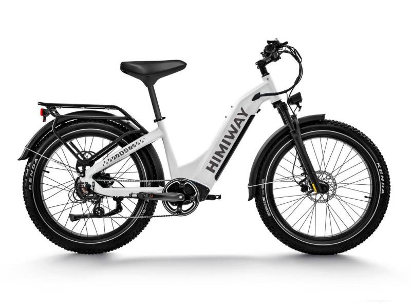 DOTMALL E-Bike Cityrad Himiway Zebra/D5 26 Zoll Elektrofahrrad mit 48V 20Ah abnehmbarem Akku von DOTMALL