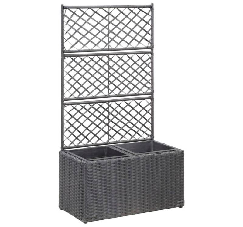 DOTMALL Hochbeet Hochbeet mit Rankgitter 2 Töpfe 58×30×107cm Poly Rattan Schwarz von DOTMALL