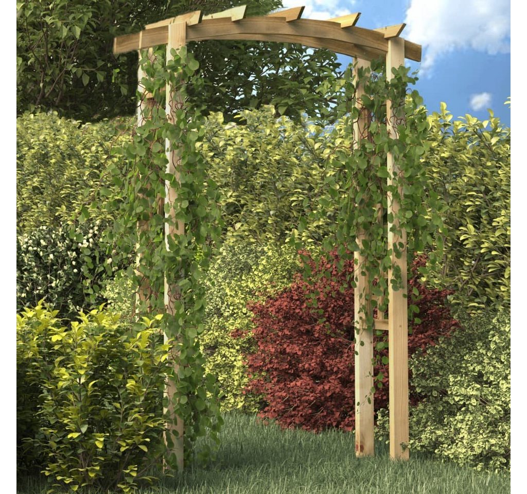 DOTMALL Spalier Gartenbogen, für Kletterpflanzen, aus Holz, 150x60x210 cm von DOTMALL