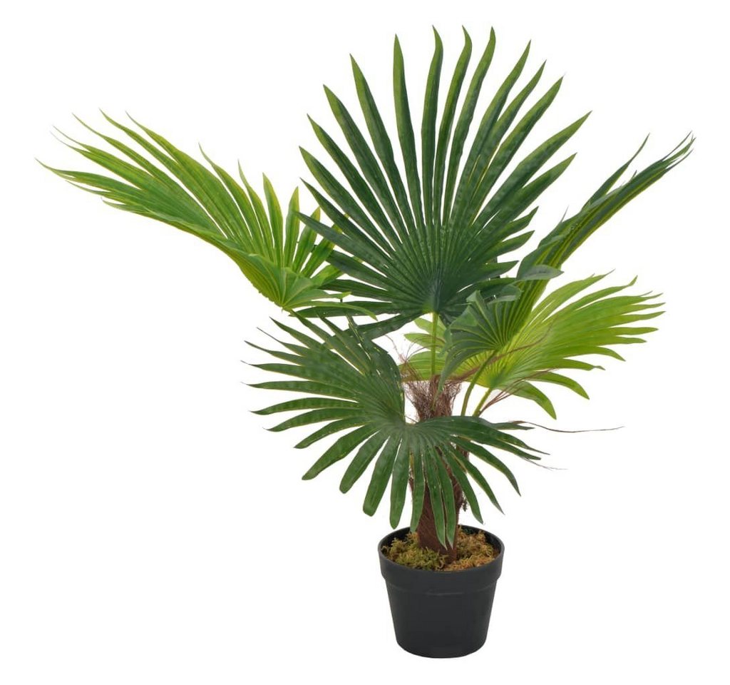 Kunstpflanze Künstliche Pflanze Palme, Höhe 70 cm, im Topf, DOTMALL von DOTMALL