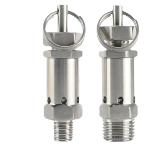 1/4 3/8 1/2 Zoll BSPT männlich 0,5 1 2 3-10 Bar einstellbar 304 Edelstahl Sanitär Sicherheitsventil 1 Stück(1/4",BSPT MALE_2-6 BAR ADJUSTABLE) von DOUKNAIL