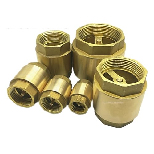 NPT Messing-Rückschlagventil Innengewinde Inline-Feder 1 Stück(1") von DOUKNAIL