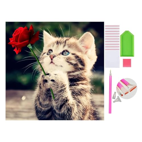 DOUKOYEE Diamond Painting Set für Erwachsene Kinder DIY 5D Diamant Painting Blume Tiere Katze Landschaft Dinosaurier Malen nach Zahlen Diamant Anfänger Home Wall Decor 30x40cm (M-Rose Katze) von DOUKOYEE