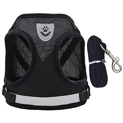Hundegeschirr mit Leine Set für kleine Hunde ，Verstellbare Hundegeschirr Reflektierend kein Ziehen Brustgeschirrem Katzengeschirr Atmungsaktiv Dog Harness (M) von DOULEIN