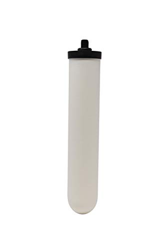Doulton 10" Ultracarb SI | 1 Packung | Authentischer Keramik-Kerzenfilter | Reduziert Verunreinigungen | Passend für alle 1/4“-BSP-Anschlüsse | Verbessert Geschmack |NSF-zertifiziert |9505 von DOULTON