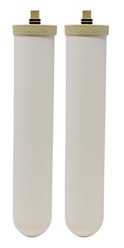 Doulton BioTect Ultra Keramik-Trinkwasserfilter-Kartusche für Doulton Filtadapt-Gehäuse, 25,4 cm, M12 Gewinde W9123063 von DOULTON