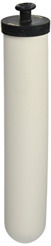 Doulton Ultracarb 10 Water Filter Candle, (W9123053) by Doulton von DOULTON