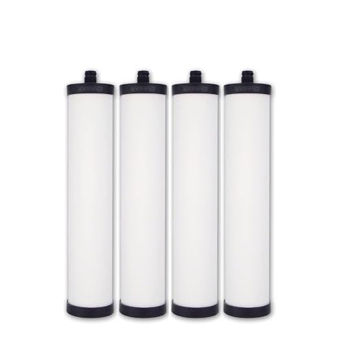 Doulton Wasserfilterpatrone für Wassersystem für Franke (M15) 4er Pack von DOULTON
