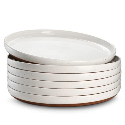 DOWAN Steingut Dinner Teller Set, 10 Inch Dessert Plates 6 Stück Tellerset Keramik, 26cm Servierteller Porzellan, Essteller, Steinzeug Geschirrteller, Flache Teller Groß para Salat,Steak- Vanille-Weiß von DOWAN