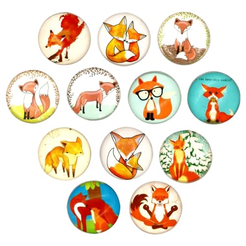 Fuchs Magnete Kühlschrank DOWNDRIFT 12 Stück Klein 3D Kühlschrankmagnete für Locker Whiteboard Büro Schrank Geschirrspüler Bulletin von DOWNDRIFT