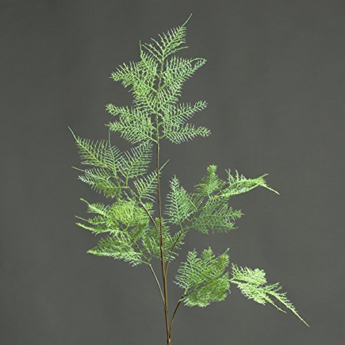 Asparagus grün 110 cm Kunstpflanze von DPI von DPI