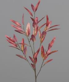 DPI Eukalyptus 57402-73 in 96cm Fb. orange-red von DPI