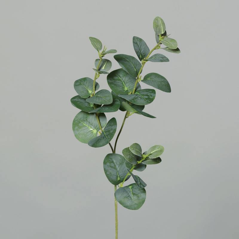 DPI Eukalyptuszweig x3 grün 64 cm von DPI