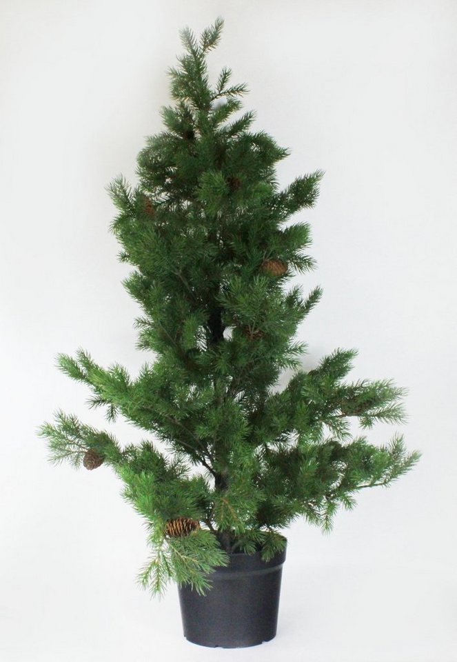 DPI Geschirr-Set Tannenbaum mit Zapfen 120 cm von DPI, Kunststoff von DPI