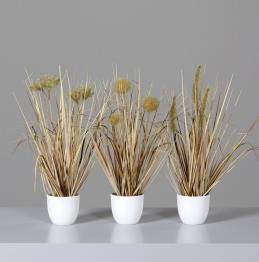 DPI Grassortiment 3tlg. 57093-76 in 36cm Fb. sand von DPI