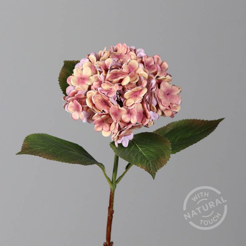 DPI Hortensie salmon 52 cm von DPI