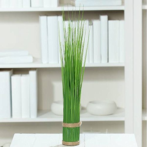 DPI Künstliches Stehgras Bündel, Deko Gräser H. 45cm D. 5,5cm Grün DPI Künstliches Stehgras Bündel, Deko Gräser H. 45cm D. 5,5cm Grün von DPI