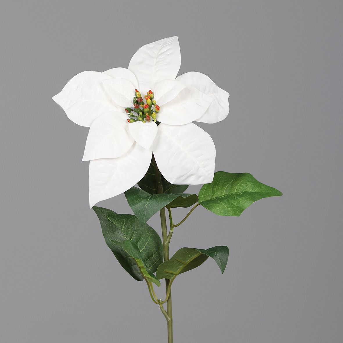 DPI Poinsettia creme 55 cm von DPI