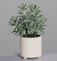 DPI Sukkulenten Arrangement 31cm  in im Keramiktiopf beige von DPI